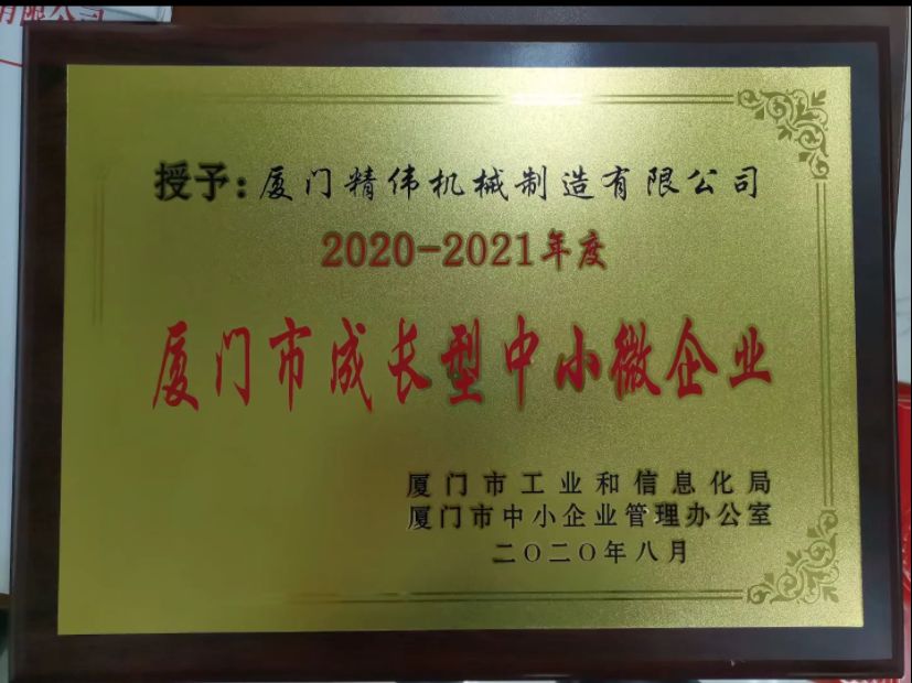 成(cheng)長型中(zhong)小微企(qǐ)業2020-2021